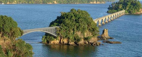Самана