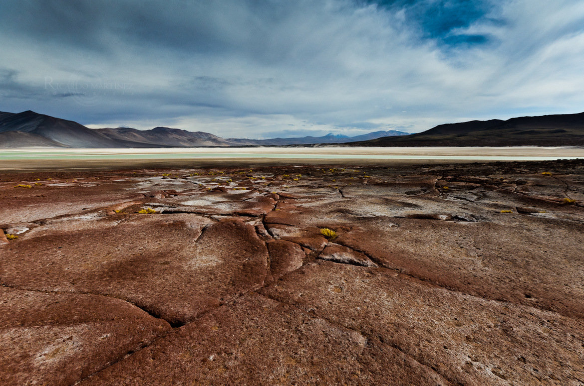 Atacama desert 5