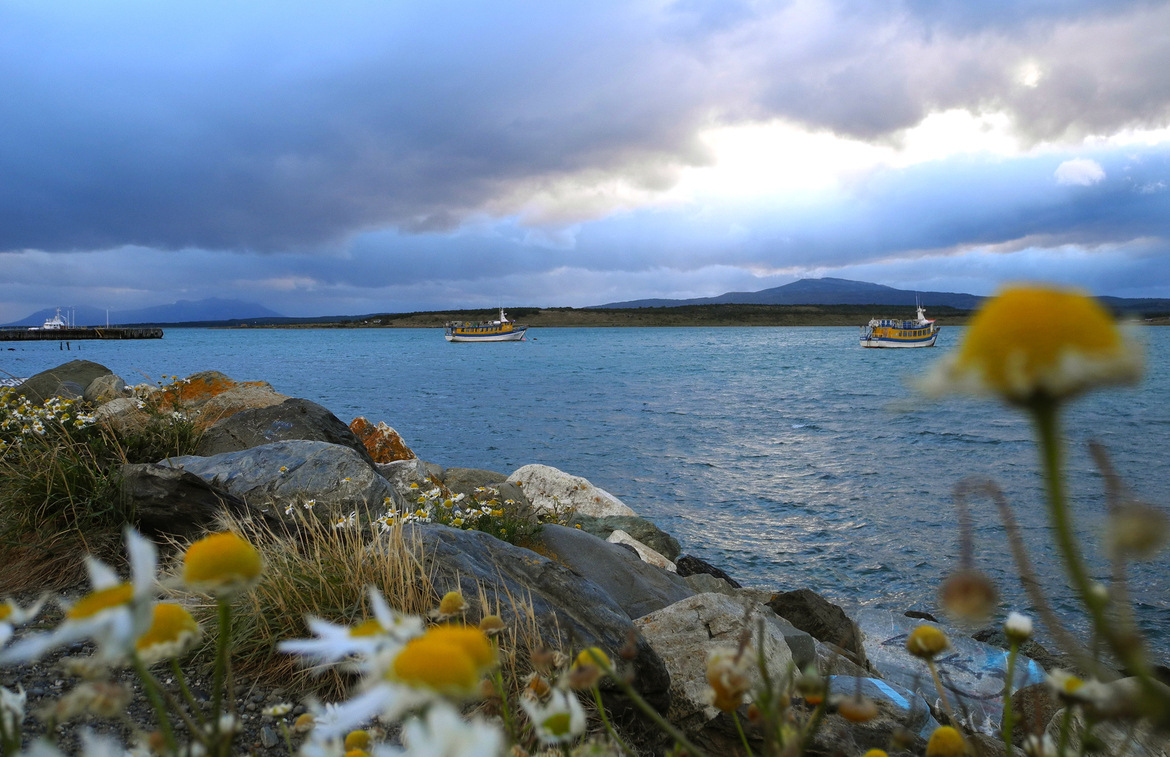 Puerto Natales 2