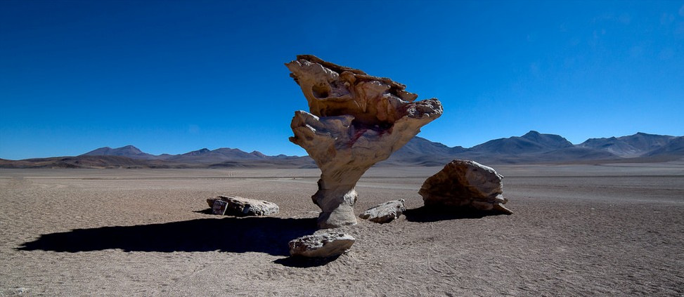 Atacama desert 11